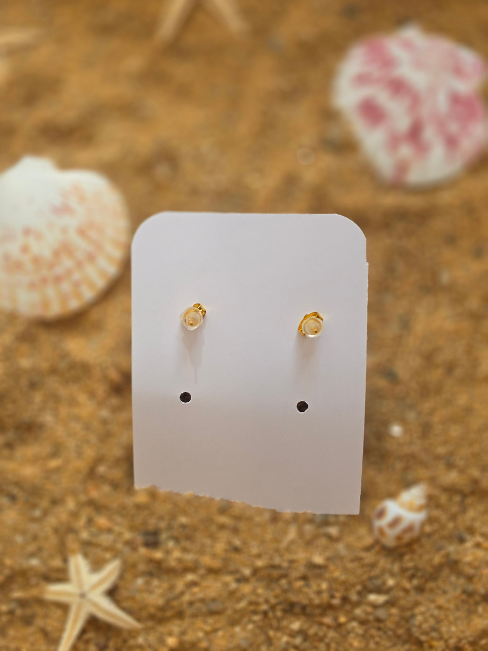 Boucles d'oreilles coquillage – créole ou puce nacrée – Petit Trésor