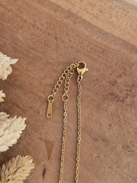 Collier acier inoxydable doré